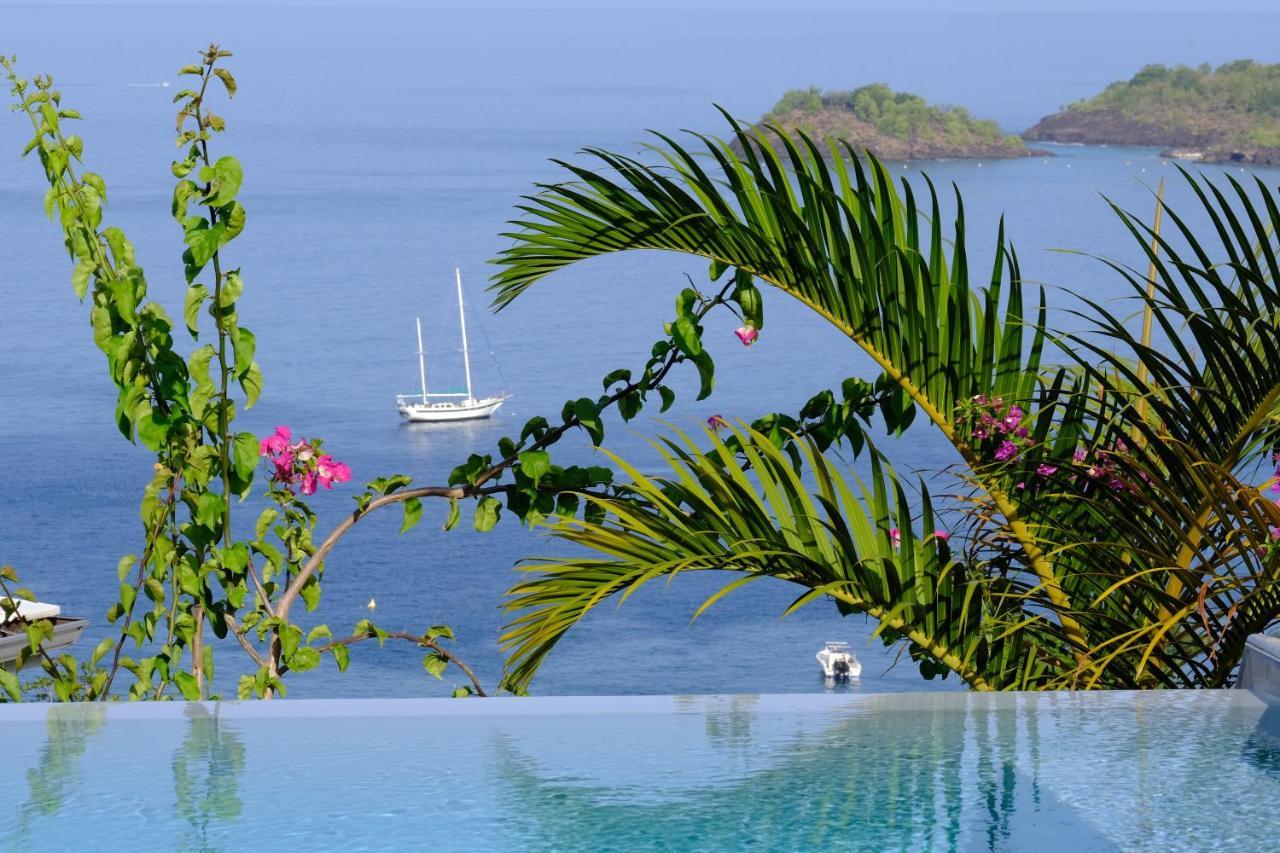 Sunset Palm - Villa Creole Avec Piscine Face Au Coucher De Soleil Et A La Reserve Cousteau Bouillante Exteriér fotografie