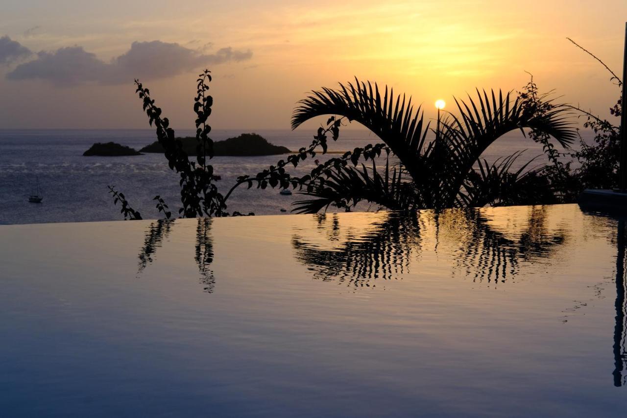 Sunset Palm - Villa Creole Avec Piscine Face Au Coucher De Soleil Et A La Reserve Cousteau Bouillante Exteriér fotografie