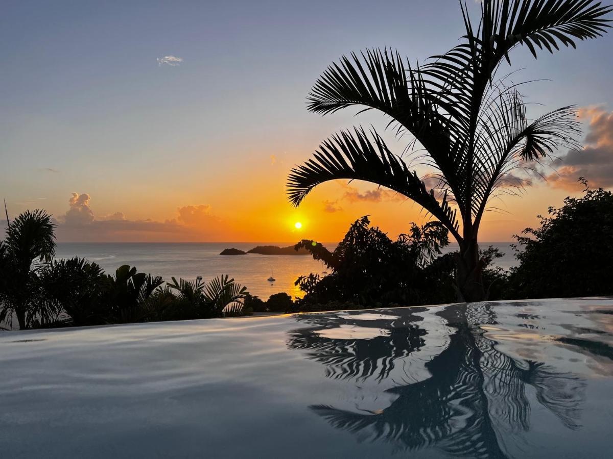 Sunset Palm - Villa Creole Avec Piscine Face Au Coucher De Soleil Et A La Reserve Cousteau Bouillante Exteriér fotografie
